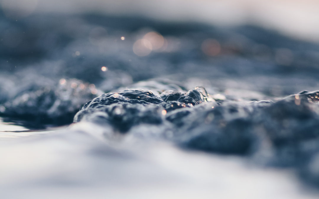 Jornada “Un pacto social del Agua, ¿es necesario?»
